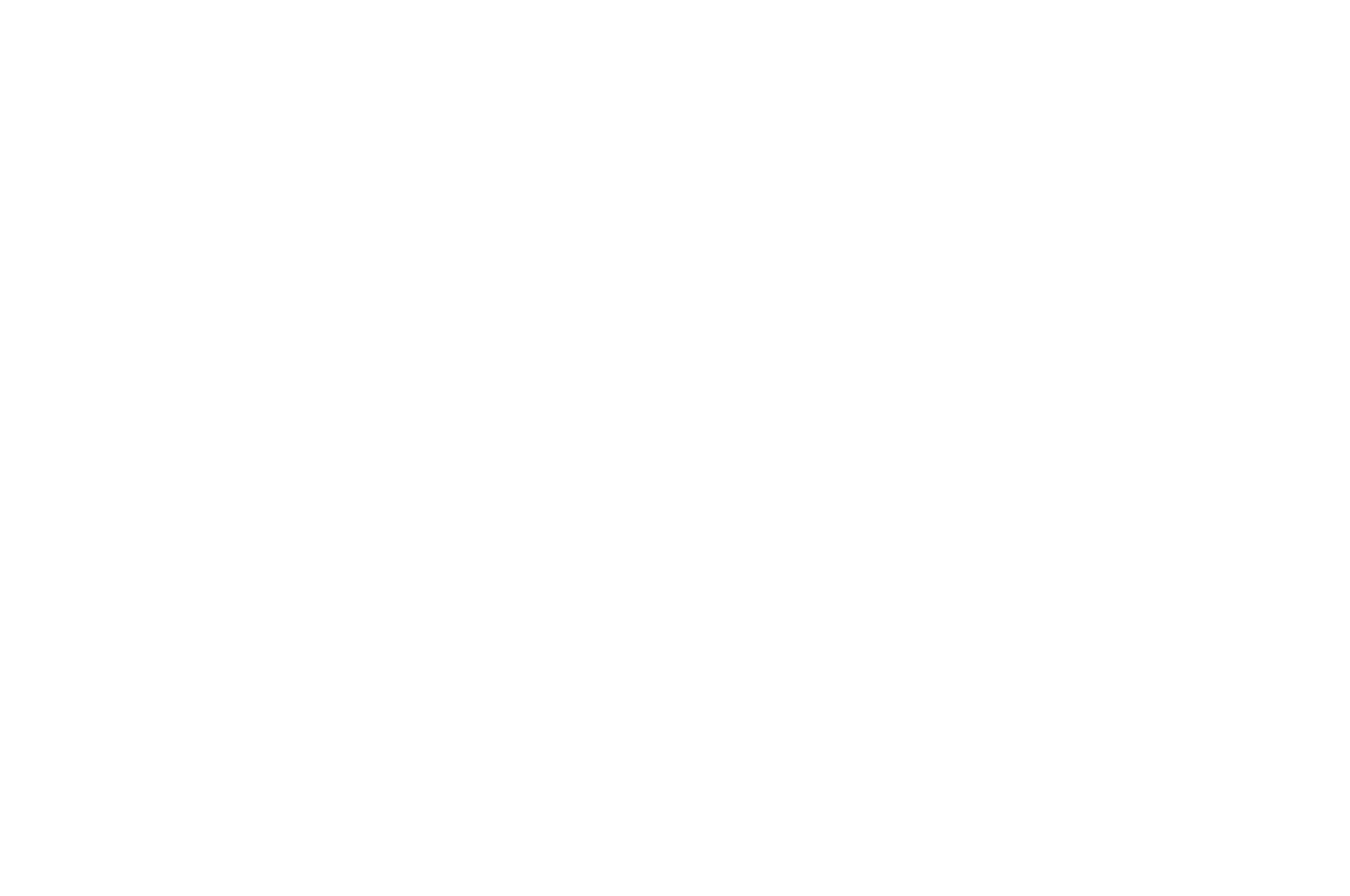 OFFICIAL SELECTION - 22nd Oakland International Film Festival - 2023