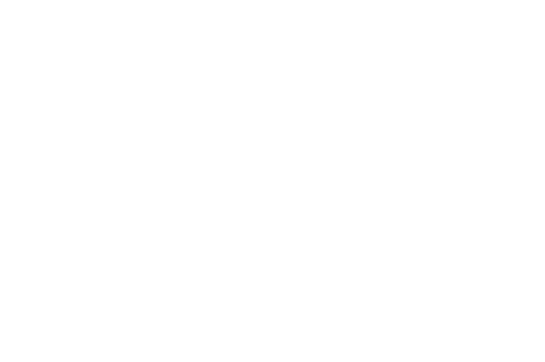 Laurel OFFICIAL SELECTION - 24th AAWIC Film Festival - 2024